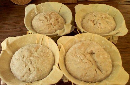 Domácí kváskový chleba pečený na Letním táboře Výfuku právě kyne.